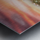 San Diego Skyline Sunset Metal print