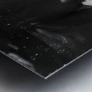 sea dream Metal print