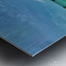 IMG 0583 Metal print