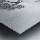 bonsai Metal print