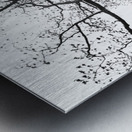 Looking Up - Branching Out - Oak Tree Abstract Metal print