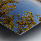 Vineyard at Sunset Metal print