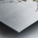 Ovelgonne Metal print