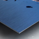 5E708647 1646 43F3 AD3A C27B9B262FC0 Metal print