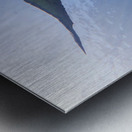 A6DDDBFD F5F2 4CE1 B5A5 CC7EAD909210 Metal print