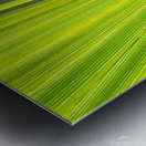 Leaf Metal print