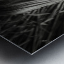 Young Chinese black and white portrait Metal print