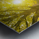 Autumn Road Metal print