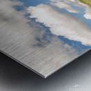 Tree Metal print