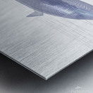 Airplane wire model 3D illustration Metal print