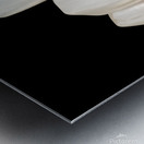 Veneer placement procedure 3D illustration Metal print