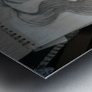 16522279366061088121339712905511 Metal print