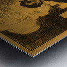 America gave it all Metal print