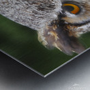Hibou  |  Owl Metal print