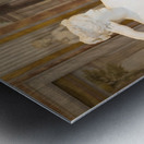 Classical statue of Pauline Bonaparte made by Antonio Canova Metal print