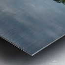 Young Chinese woman wearing a white dress in nature Metal print