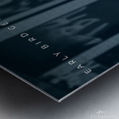 Early Bird Gets The Lambo lll Metal print