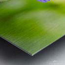 Butterfly taking pollen from a flower Metal print