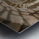 67A6056C 396A 4525 A549 736CEDDCB009 Metal print