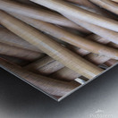 398739AB 84A0 4128 BB16 B4385DE17700 Metal print