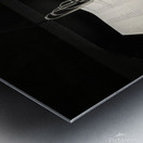 CAA9AAAA 71F6 4572 B0B1 AAD53C066C72 Metal print