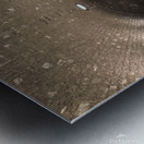 DB111315 A980 4697 985F AF621435932A Metal print