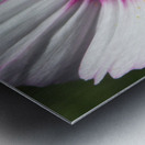 Pollinator Metal print