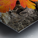 A468AFF5 0E35 4D8C 8A2E BB3168E7E78D Metal print