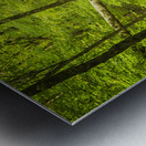 2022 May 04 IndianCrk01 Metal print