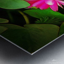 k 8 11o 76b   The Water Lilies Metal print