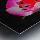 n 00002  The Tulip Metal print