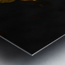 10   Cactus Blossom Metal print