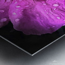 April Showers Metal print