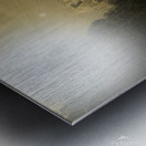 Biltmore Dream Metal print