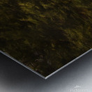 Biltmore A Metal print