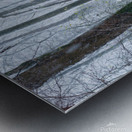 Path in a forest under the snow in winter Metal print