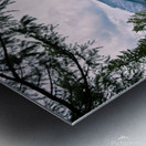 BABB8256 9C44 44F8 99C9 11D0DE30EE8D Metal print