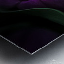 C6BA5956 485C 428F 9B48 A938EE047FD1 Metal print