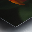 2D129917 4403 4BC1 9556 0C82F687A30C Metal print