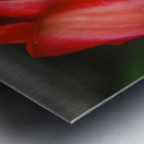 CC307FB5 2ECC 4696 800F 0155651ECD22 Metal print