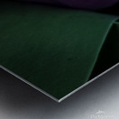 E54902A0 D551 4DE8 892D 0819F3726D5A Metal print