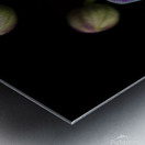 6A02853C 7714 4028 BE2A F75DC0C40BED Metal print