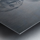 910 Metal print