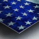 American Freedom Metal print