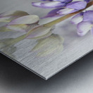 6DA728DD D5BE 4999 BCA9 05CE56D0B715 Metal print