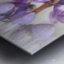 C7C17AC9 0B65 429C 8DB7 C6CEF130F4DC Metal print