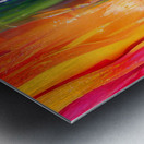Showing The Pride Metal print