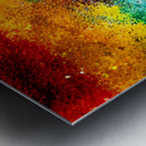 Rainbow Body Metal print