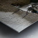 B74EA6CE AE05 4055 955E D665D2897B81 Metal print