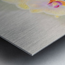 Orchid 2 Metal print